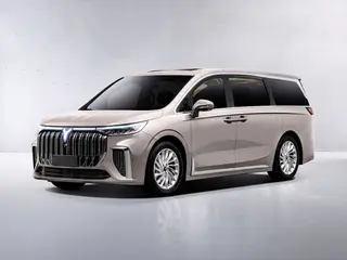 Voyah Dream 108.7kW EV Flagship Edition 320kW Aut 5d